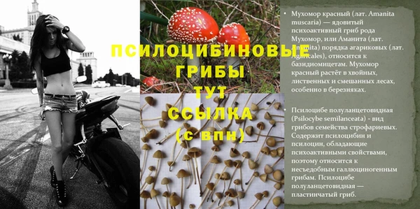 мефедрон мука Каменка