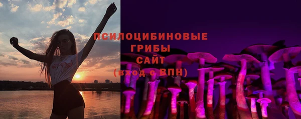 mdpv Каменногорск