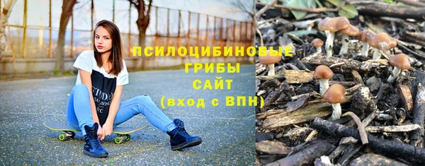 mdpv Каменногорск