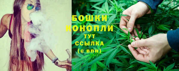 mdpv Каменногорск